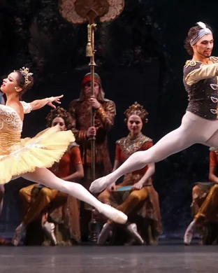 Fishback Studio Ballet: Dancing Through Life